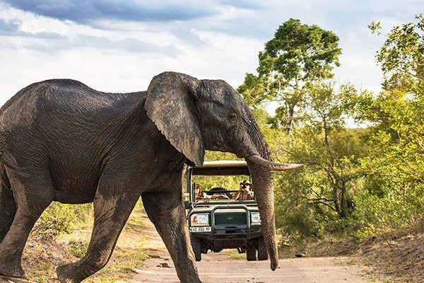 Explendor Tours-赫拉斯科普必去景点