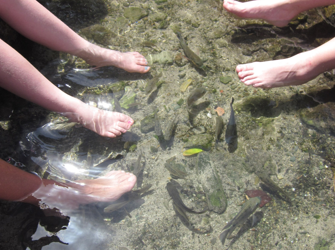 阿勒柯克国家公园-Santa Cruz必去景点