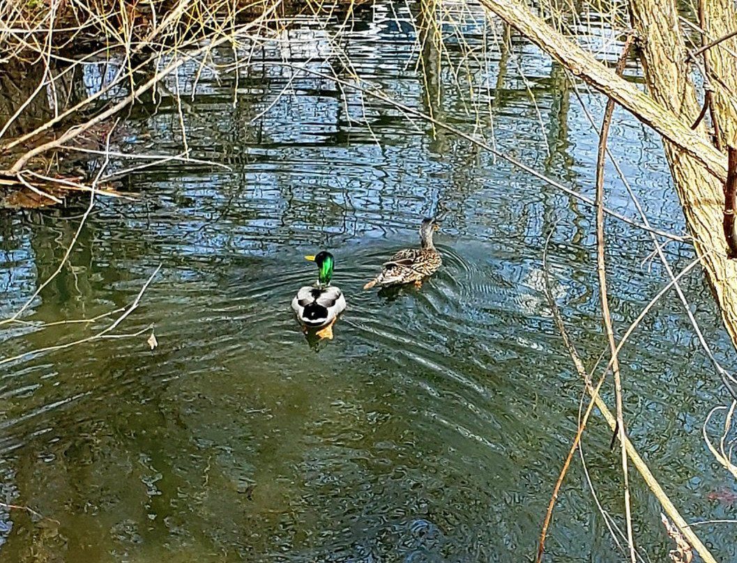 Friends Community Park-Forest Hill必去景点