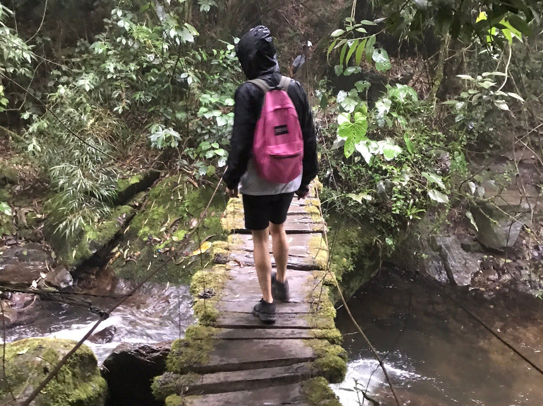 Mystical Tours Colombia-萨伦托必去景点