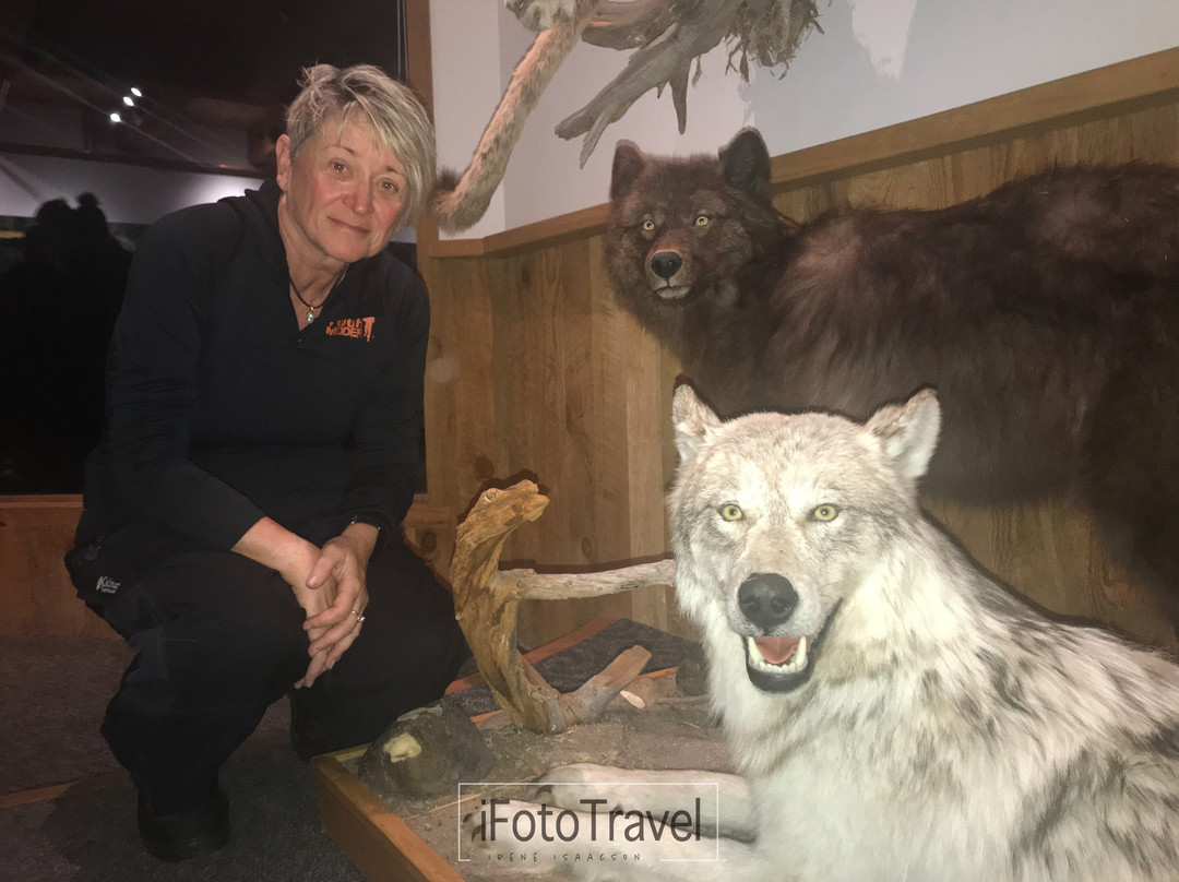 Aspen Center for Environmental Studies-阿斯蓬必去景点