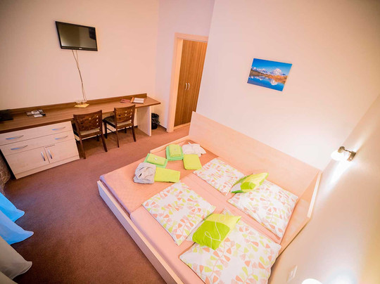 Wellness & Spa Hotel Certov主图