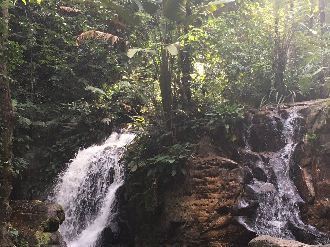 Cachoeira da Onça-Presidente Figueiredo必去景点