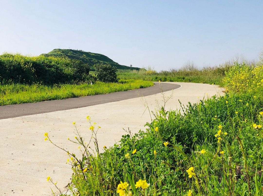 Part HaAgamim-Rishon Lezion必去景点