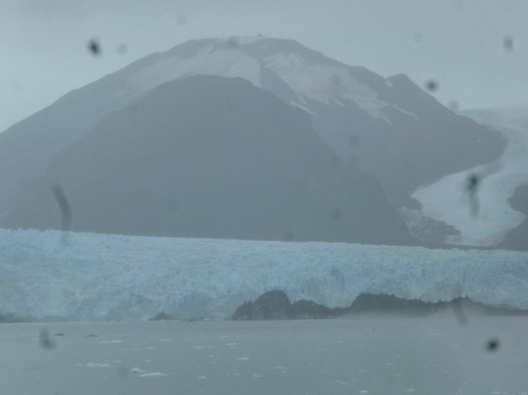 Glaciar Amalia-纳塔莱斯港必去景点