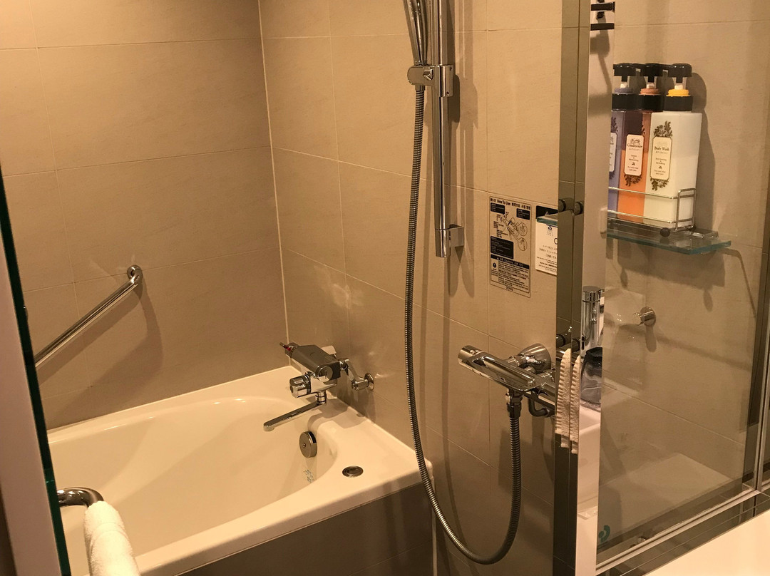 DEL style Osaka-Shinsaibashi by Daiwa Roynet Hotel主图