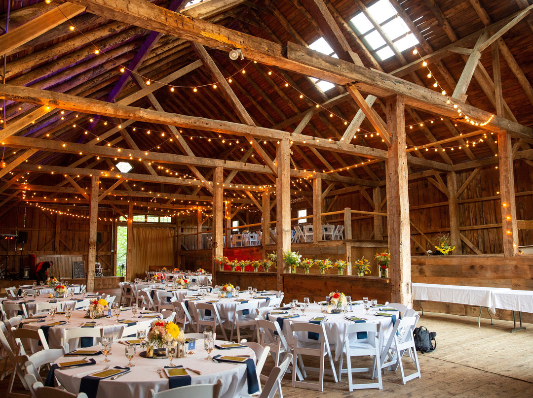 Colonel Williams Inn主图