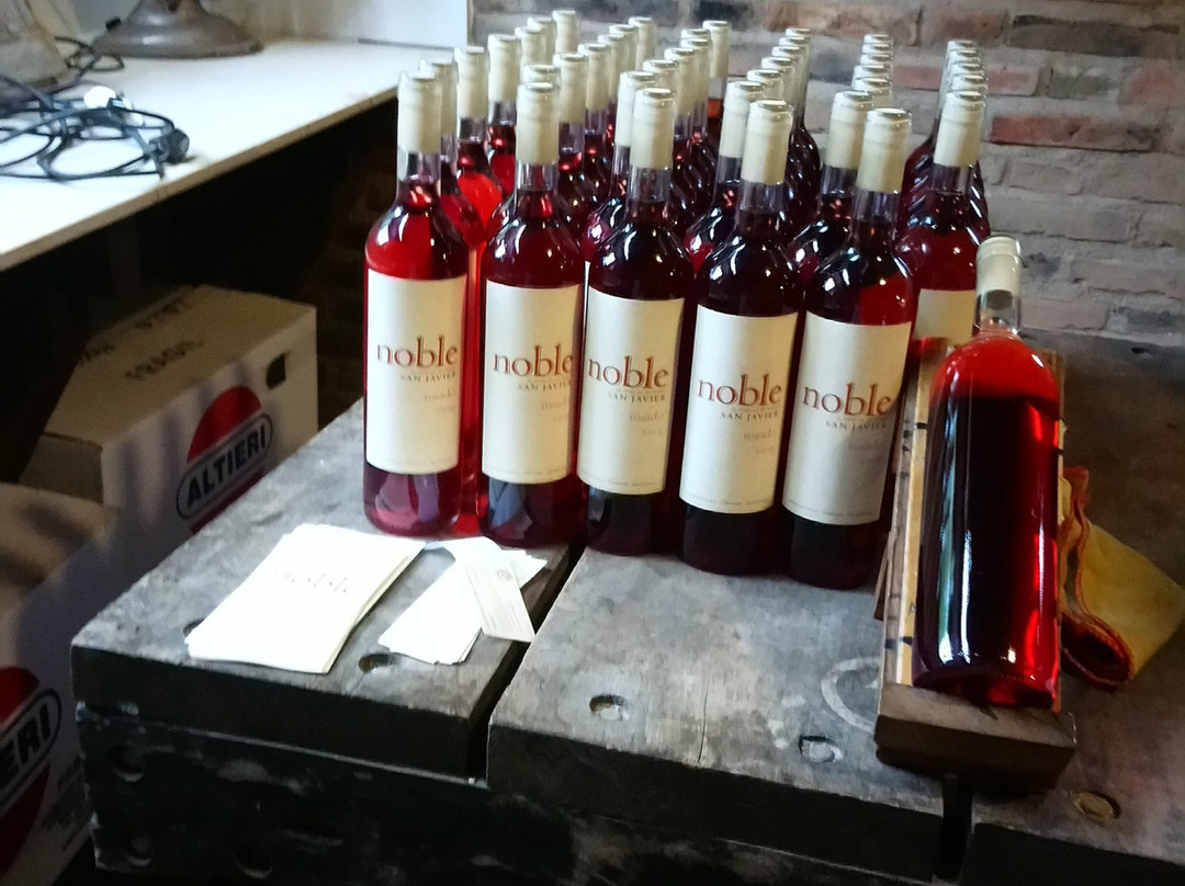 Bodega San Javier-圣哈维尔必去景点