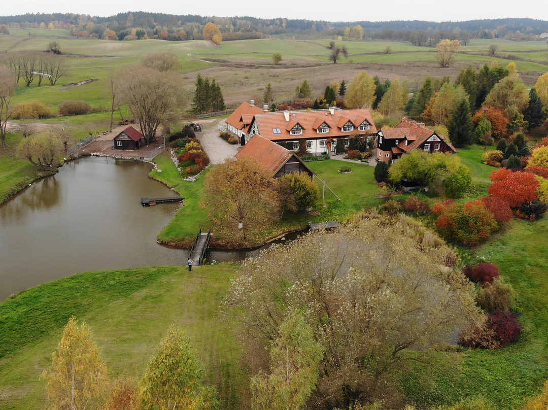 Andrzejowka