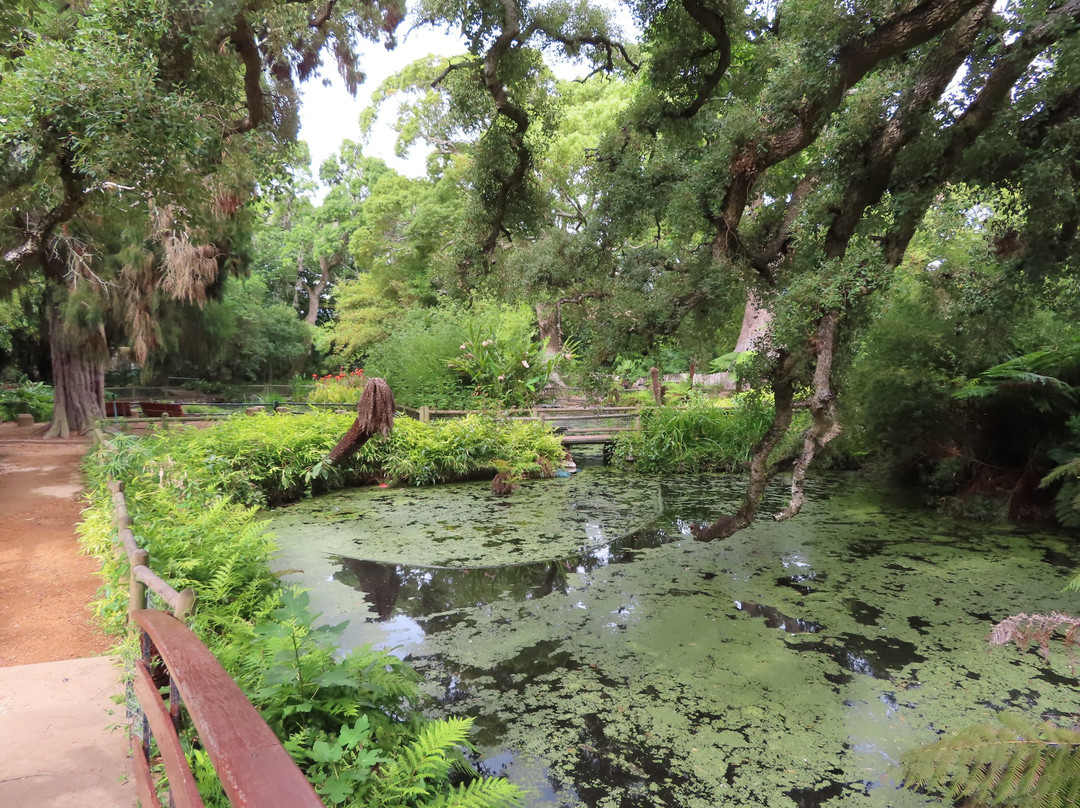 Arderne Gardens景点图片