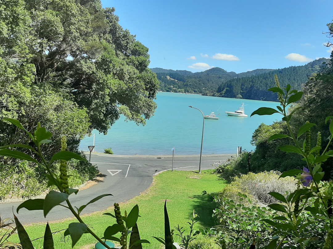 Waterfront Studio In Whangaroa