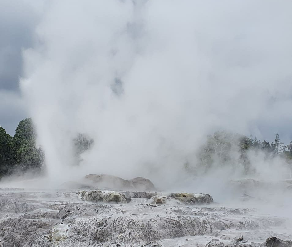 Whakarewarewa Geothermal Valley景点图片