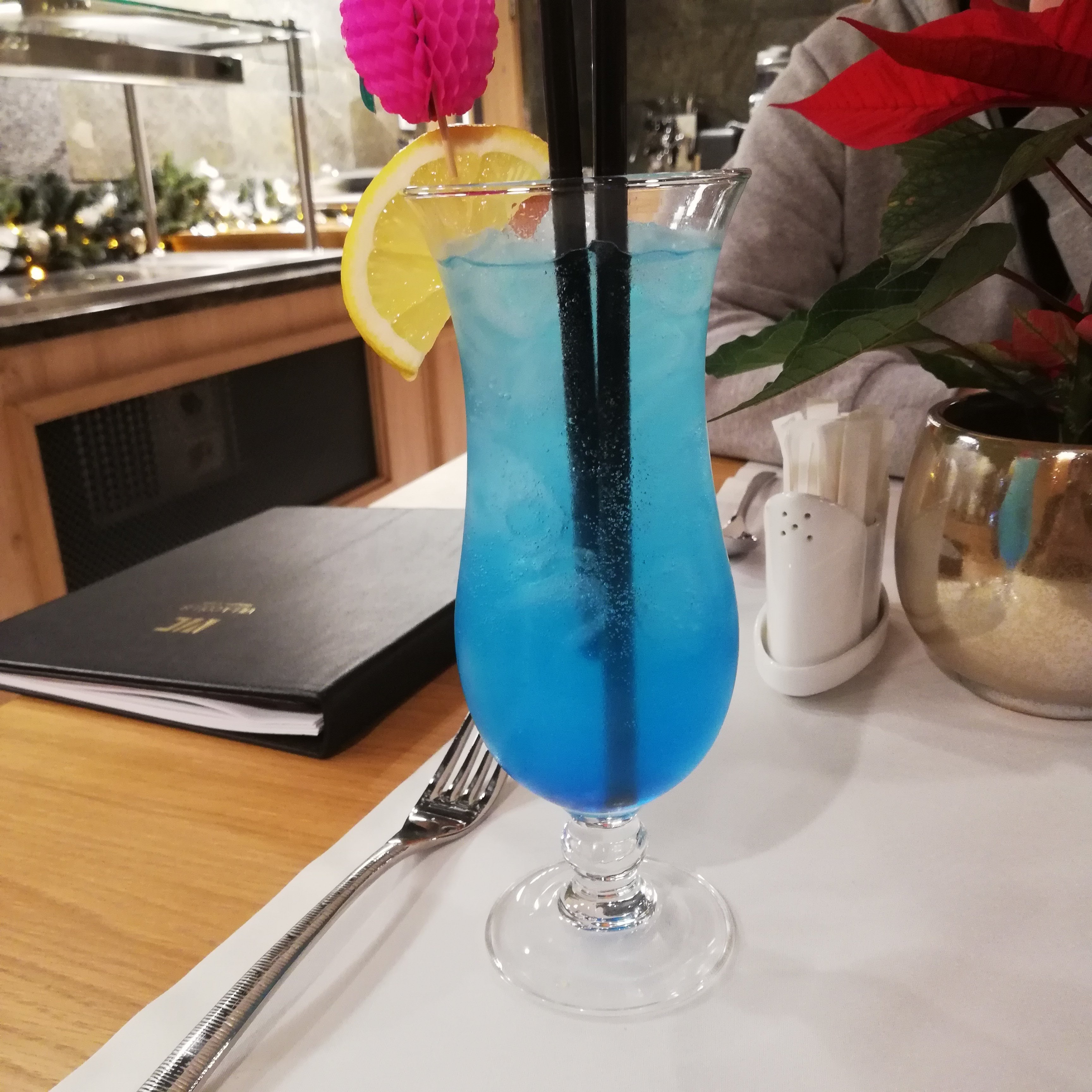 Villa Collis-餐饮