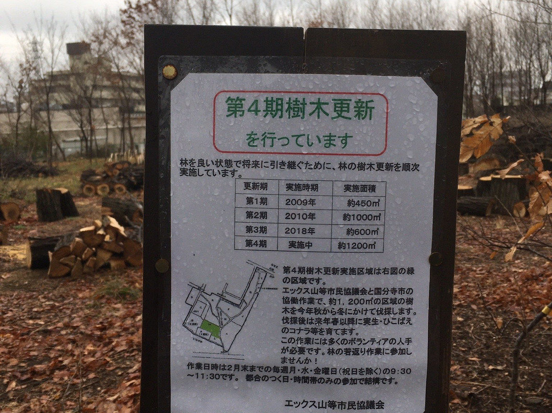 Nishikoigakubo Ryokuchi-国分寺市必去景点