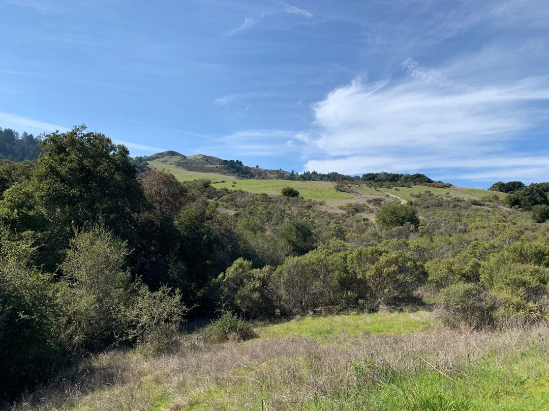 Windy Hill Open Space Preserve-洛思阿图斯必去景点