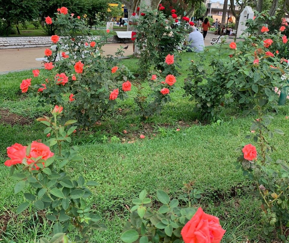 Plaza Marques de Sobremonte-梅洛必去景点