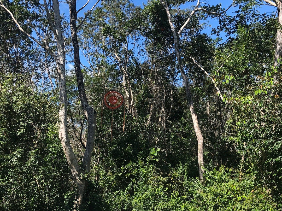 Casa Tzalam Tulum Selva主图