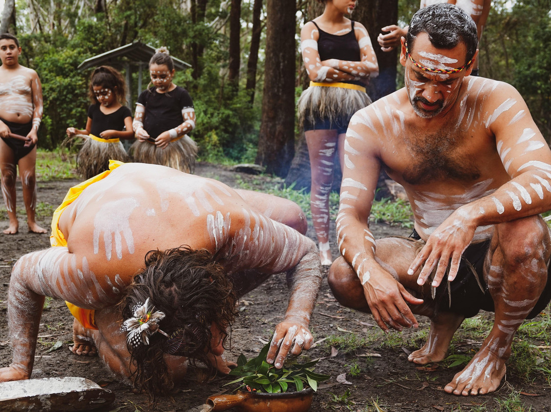 Giingan Gumbaynggirr Cultural Experience-科夫斯港必去景点