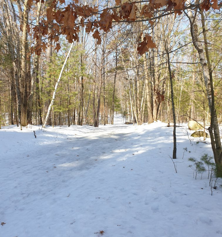 Livingston Park-曼彻斯特必去景点