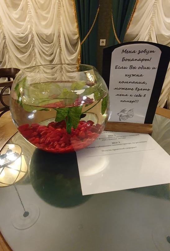 Moskovskaya Zastava主图