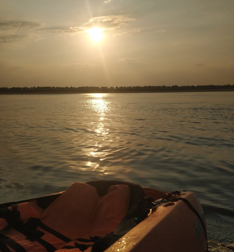 Dolphin Kayaking Adventures景点图片