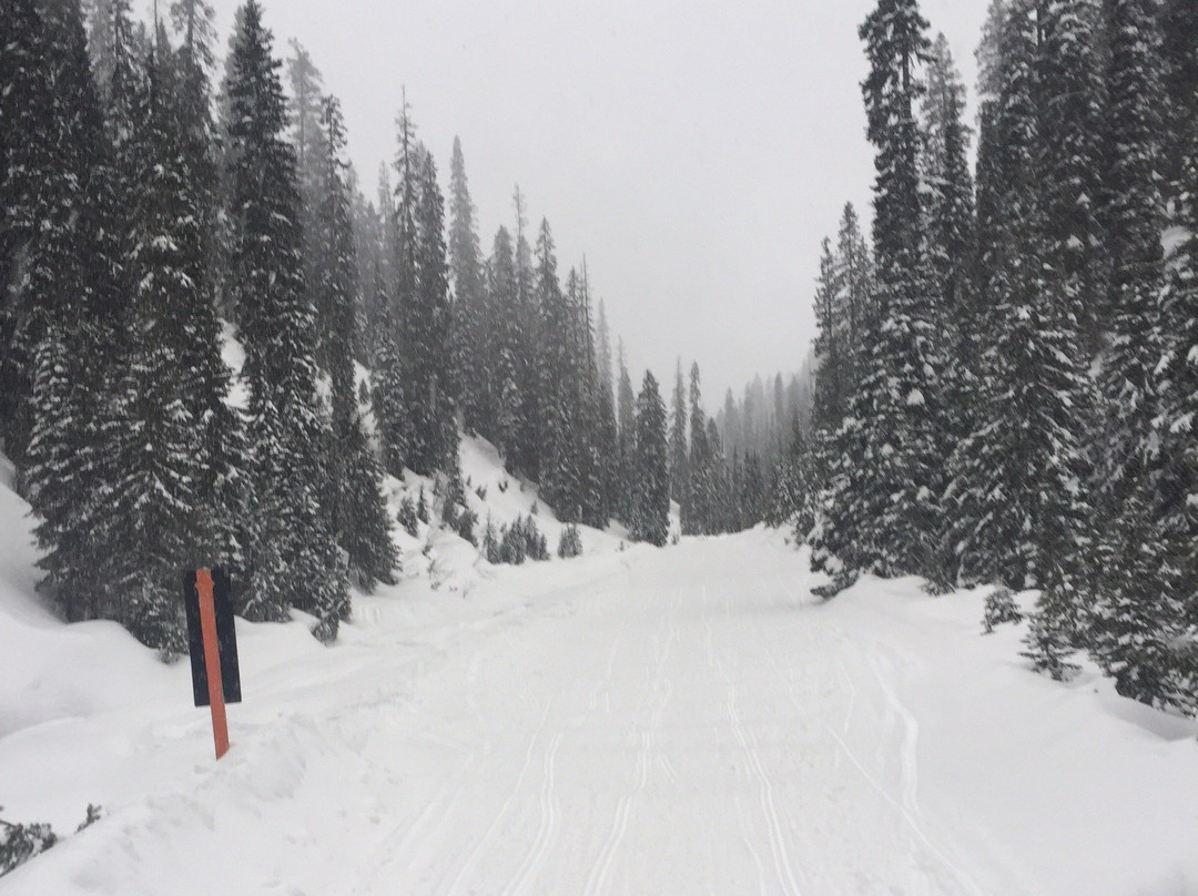 Swan Mountain Snowmobiling-Columbia Falls必去景点