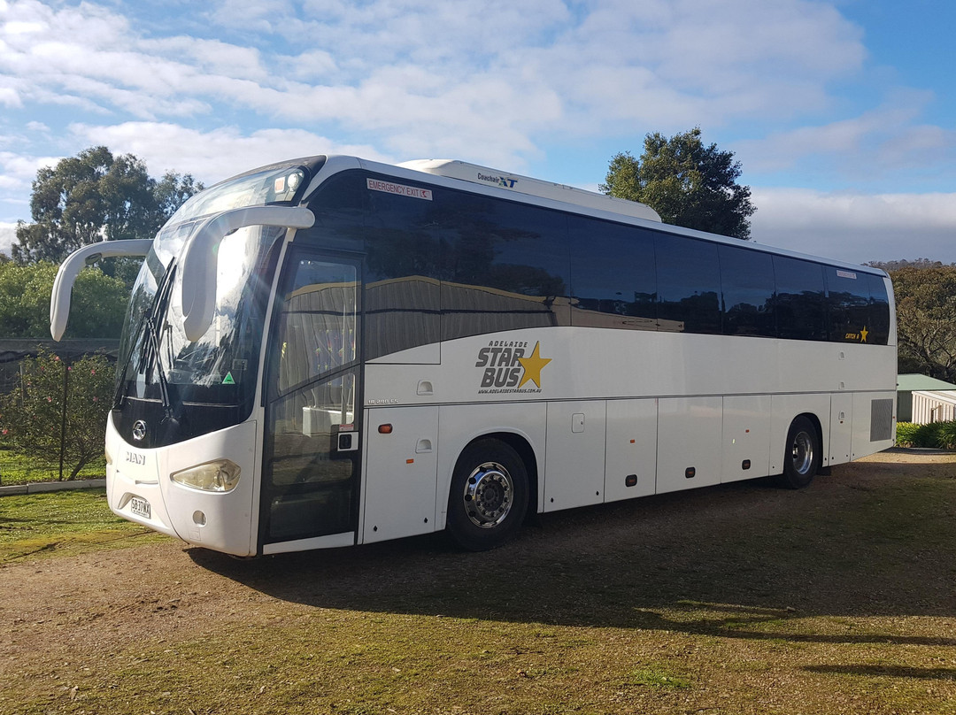 Adelaide Star Bus景点图片