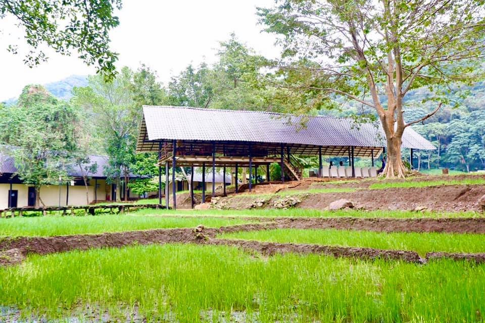 克里奥艾拉度假村主图