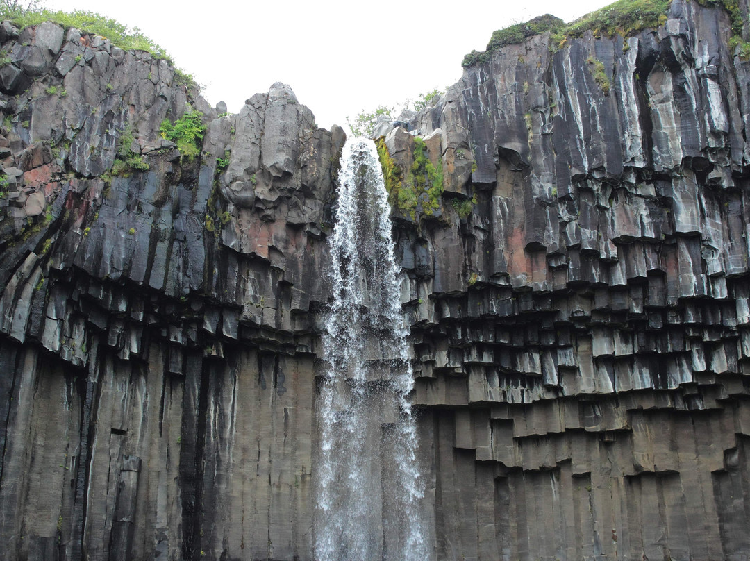 Svartifoss Waterfall景点图片