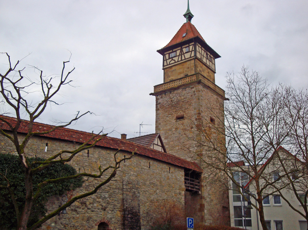 Hochwachtturm景点图片