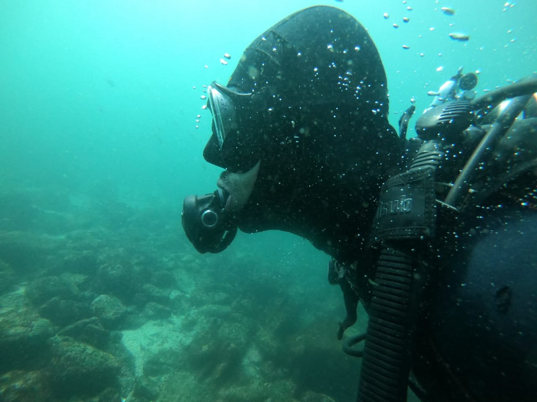 Atacama Diving Centro de Buceo-Bahia Inglesa必去景点