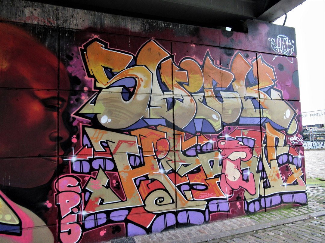 Fresque "Profile rouge"景点图片