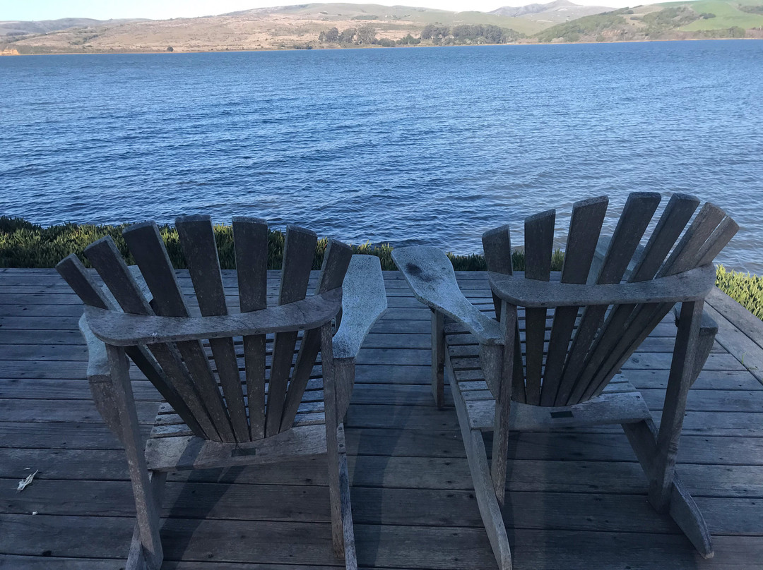 Dancing Coyote Beach主图