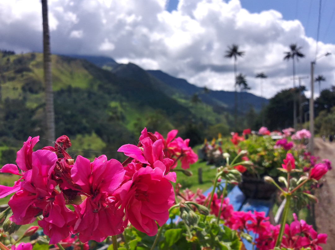 Decameron Panaca All Inclusive主图