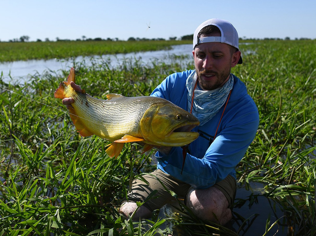 Don Joaquin River Lodge主图