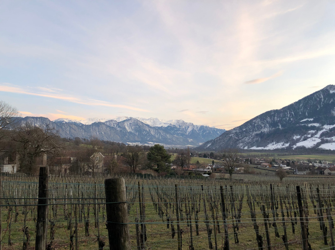 Schlaf-Fass Riesling-Silvaner Maienfeld主图