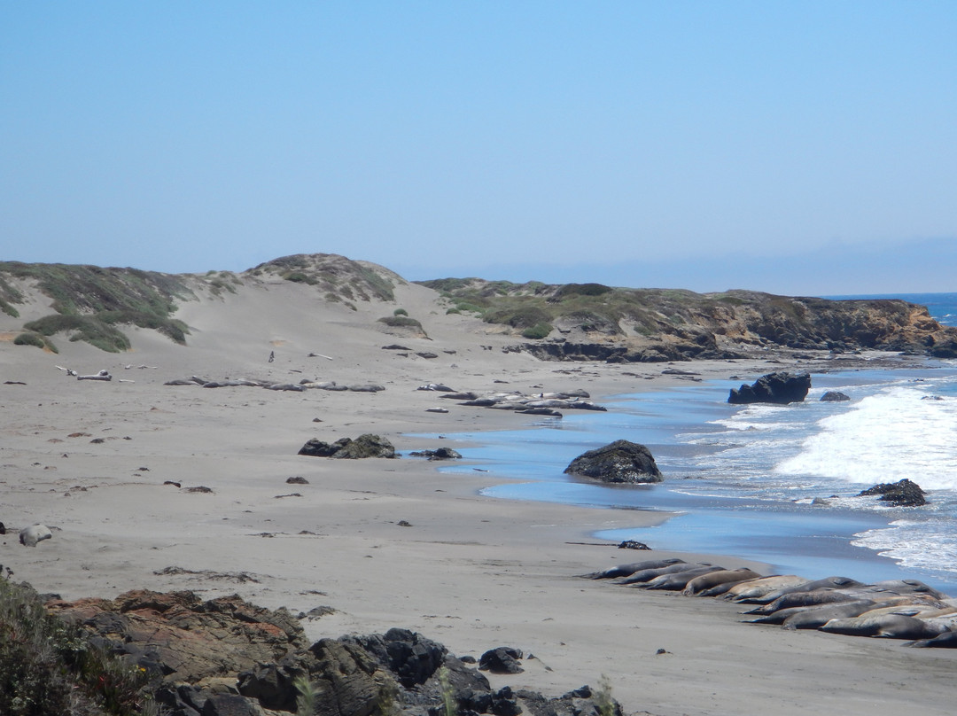 Seal Beach Scenic Overlook-大苏尔必去景点