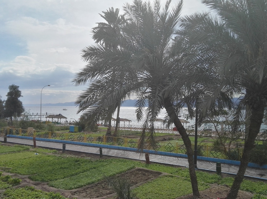 South Beach景点图片