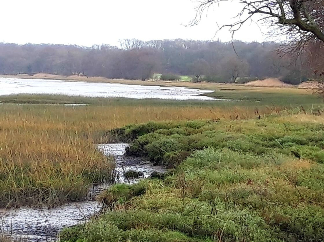 Wrabness Nature Reserve景点图片