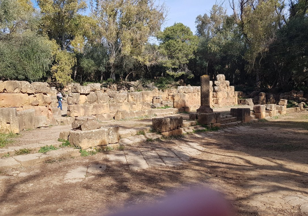 Tipasa Archaeological Park景点图片
