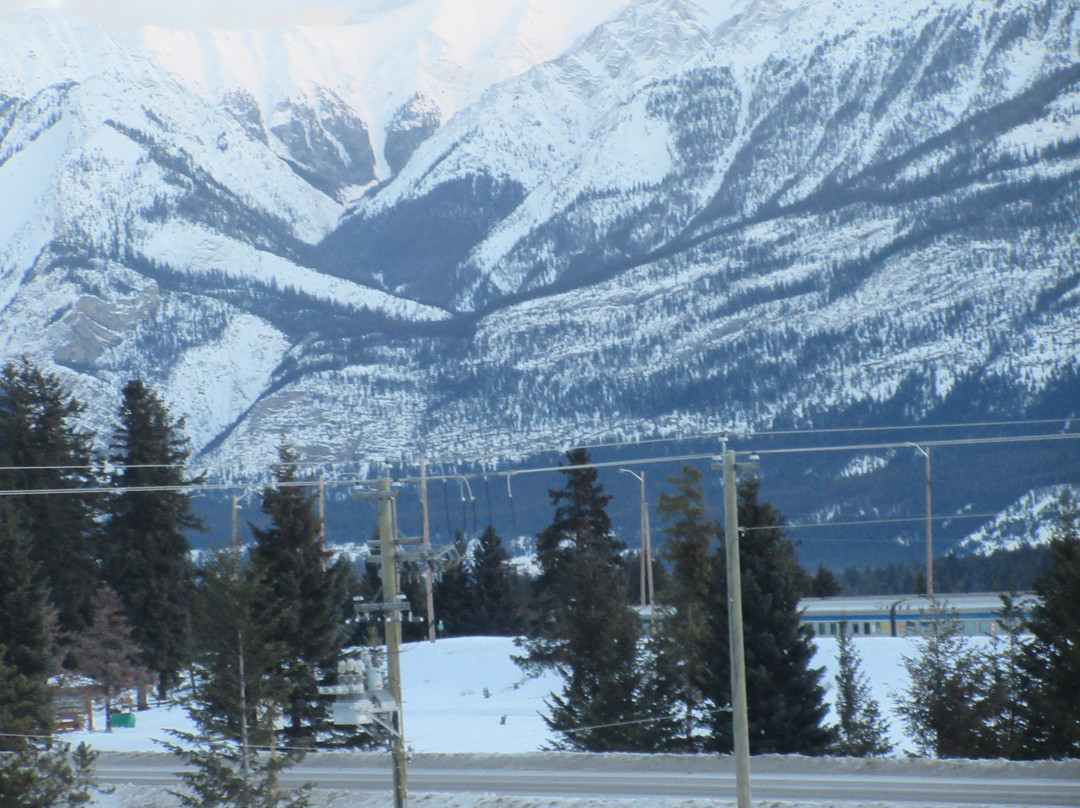 森林公园酒店主图