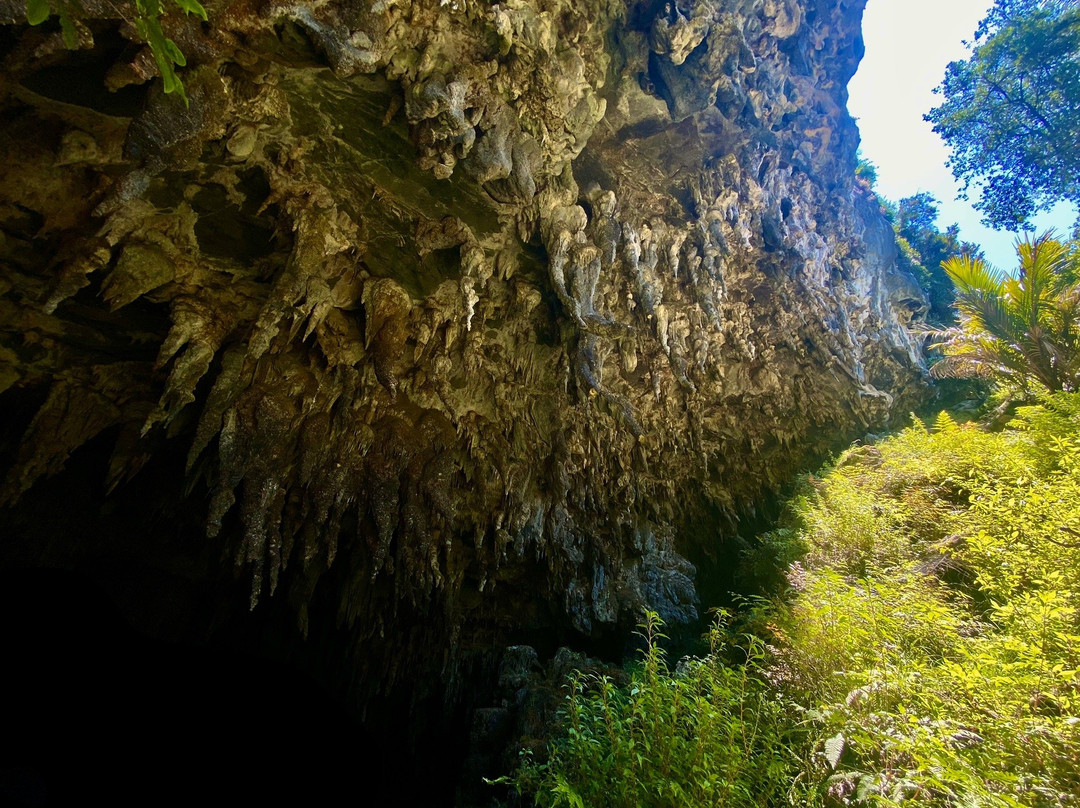 Rawhiti Cave Track景点图片