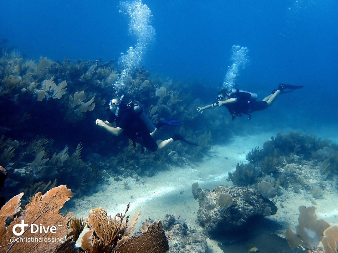 Tankah Divers Tulum-图伦必去景点
