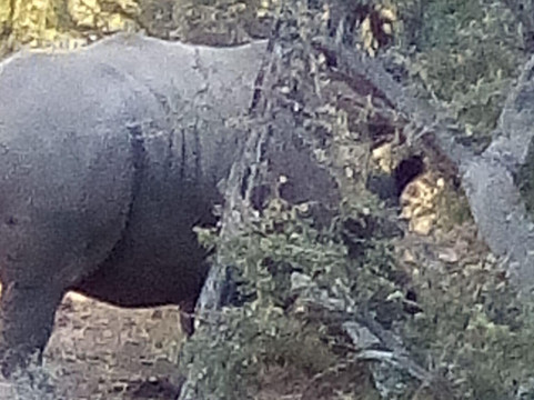 KML Shuttle Services-桑顿必去景点