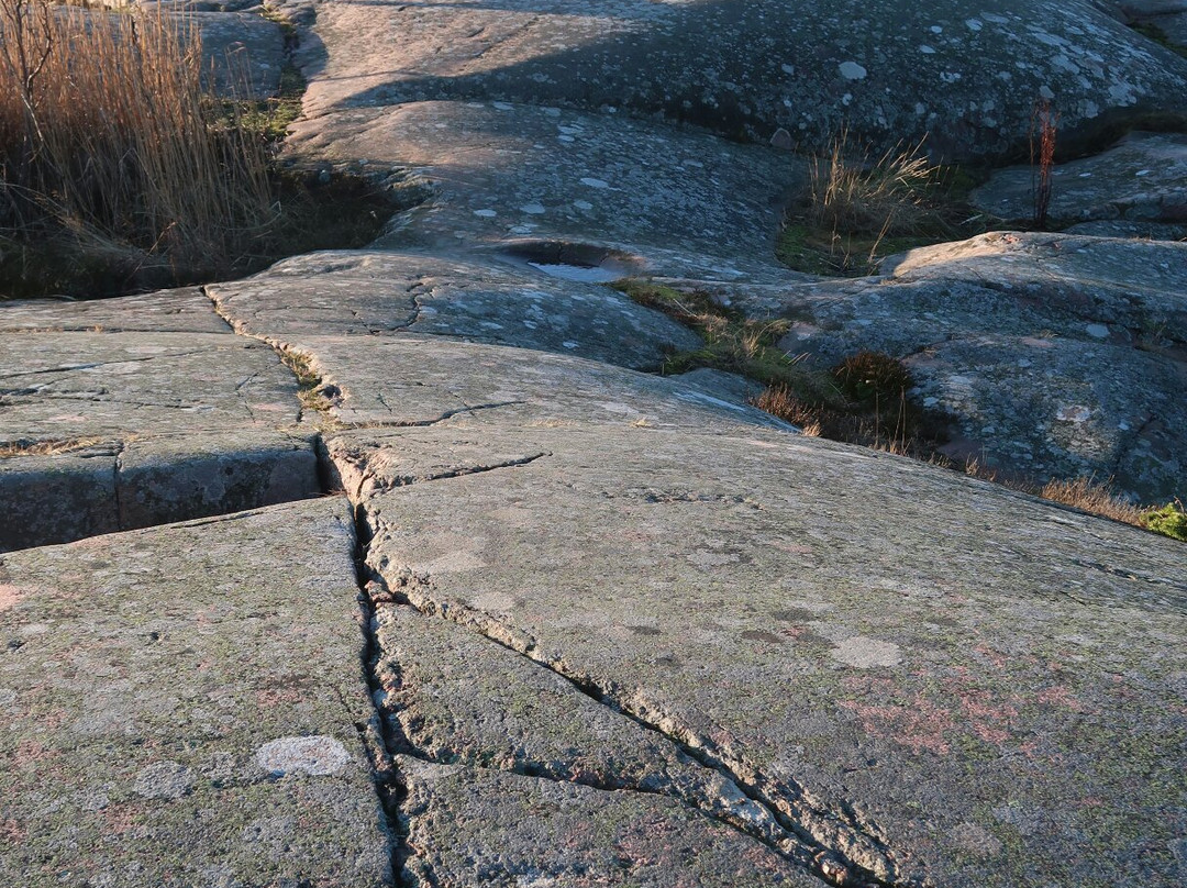 Tulliniemi Nature Path-Hanko必去景点