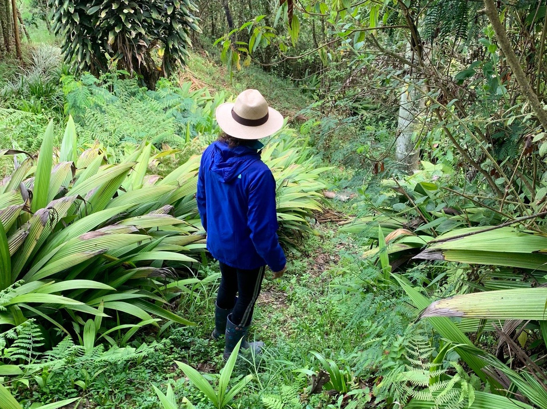 Salento Finca Hotel主图