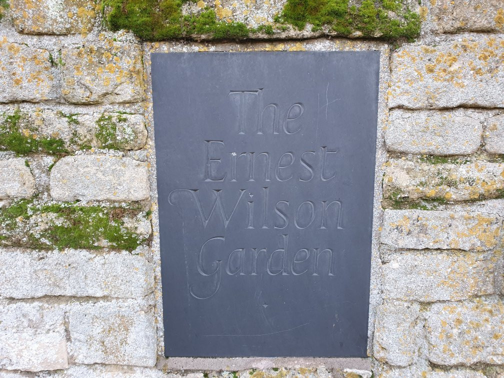 Ernest Wilson Memorial Garden景点图片