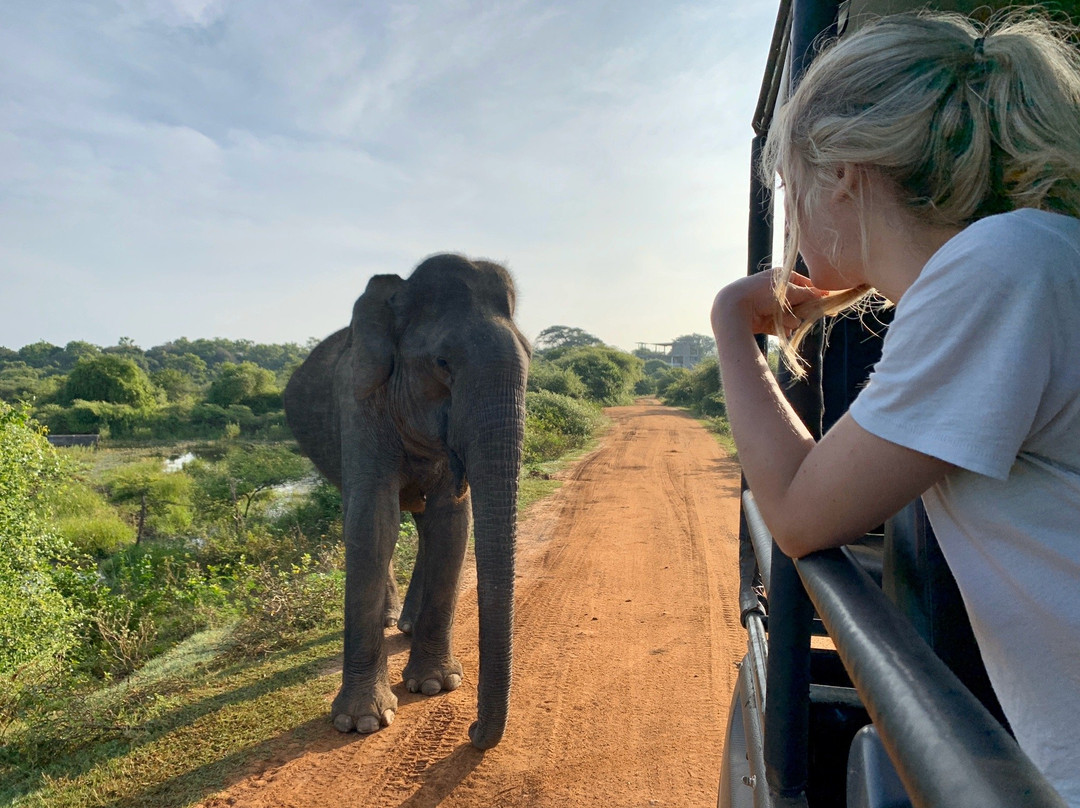 Bigcat Safari Yala-雅拉国家公园必去景点
