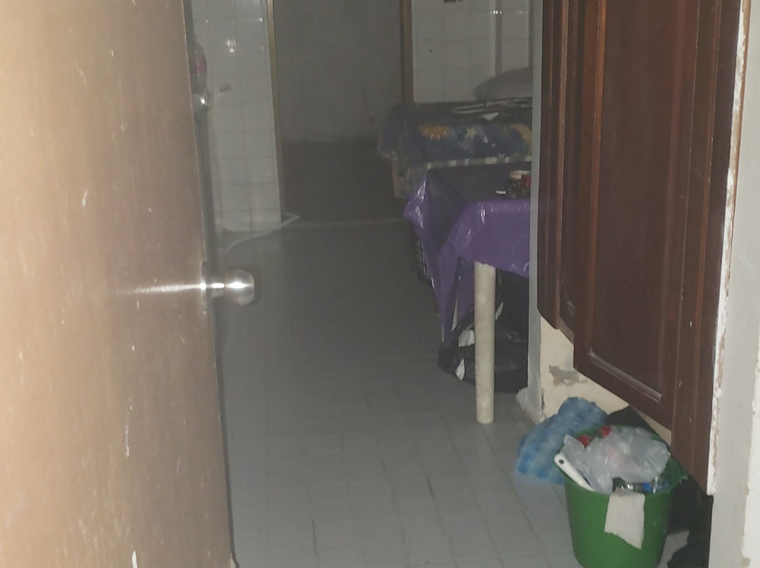 Hotel Amazonas Real主图