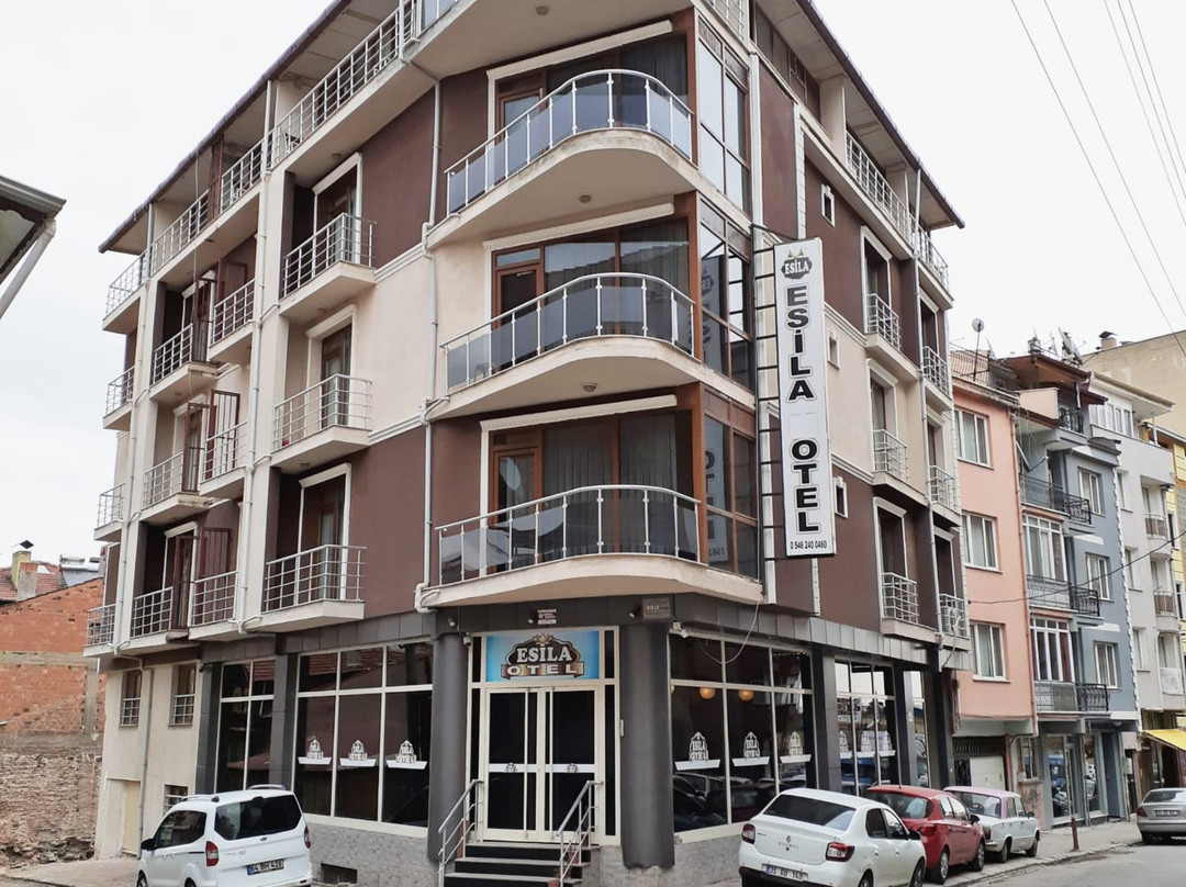 Usak酒店住宿-Esila Otel